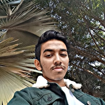 Him jyoti